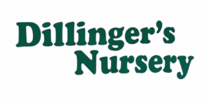 Dillinger's Nursery Wentworth Falls